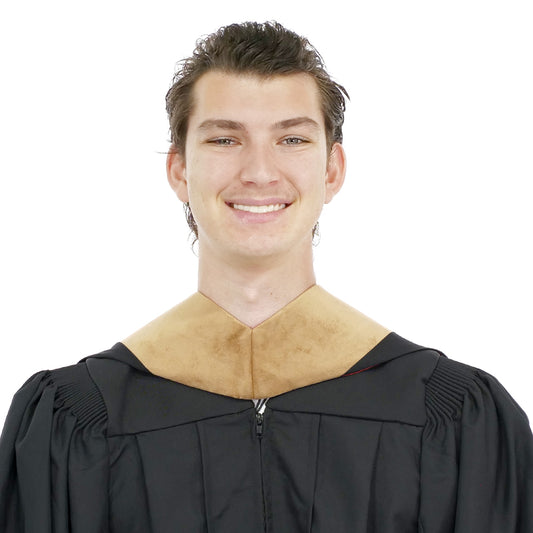 Deluxe Bachelor/Master Hood - Drab Velvet, Royal Blue & White