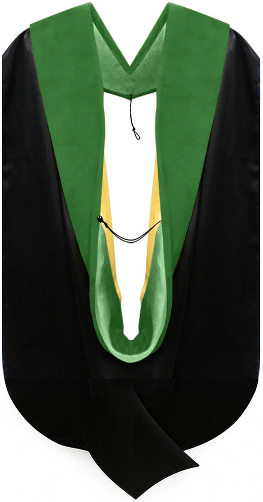 Doctor of Medicine Hood - Kelly Green & Gold