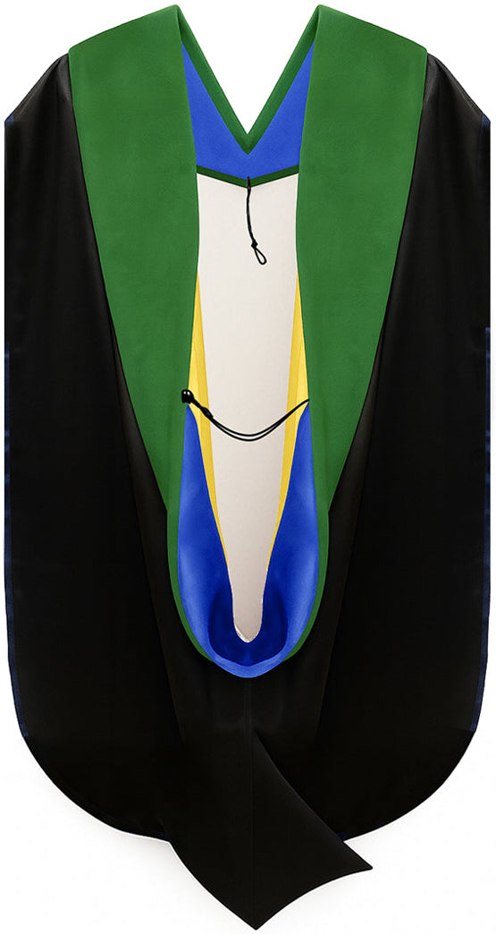 Doctor of Medicine Hood - Royal Blue & Gold
