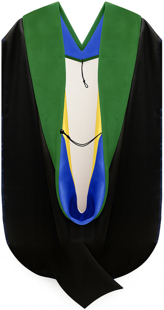 Doctor of Medicine Hood - Royal Blue & Gold