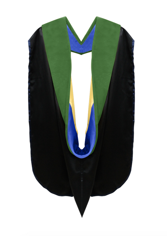 Doctor of Medicine Hood - Royal Blue & Gold