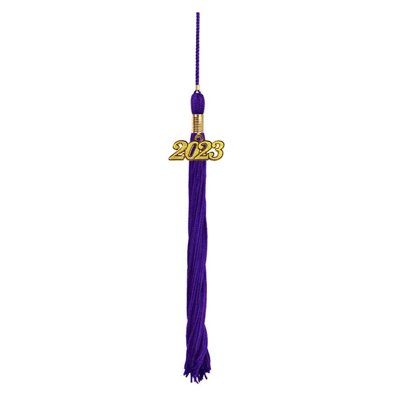 Shiny Purple High School Graduation Cap and Gown
