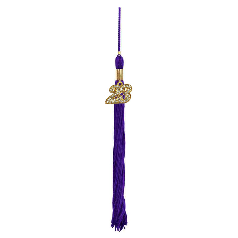 Matte Purple High School Graduation Cap and Gown